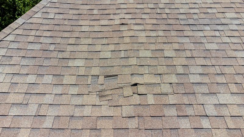 Asphalt Roof Inspection in Fairfield, NJ