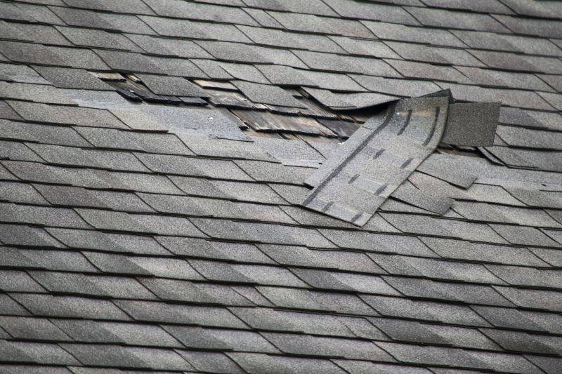 Asphalt Roof Leak Repair in Green Village, NJ