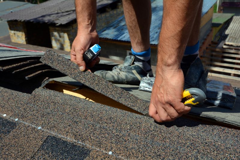 Asphalt Roof Repair in Annandale, NJ