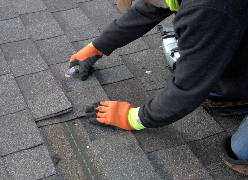 Asphalt Roof Repair in Berkeley Heights, NJ