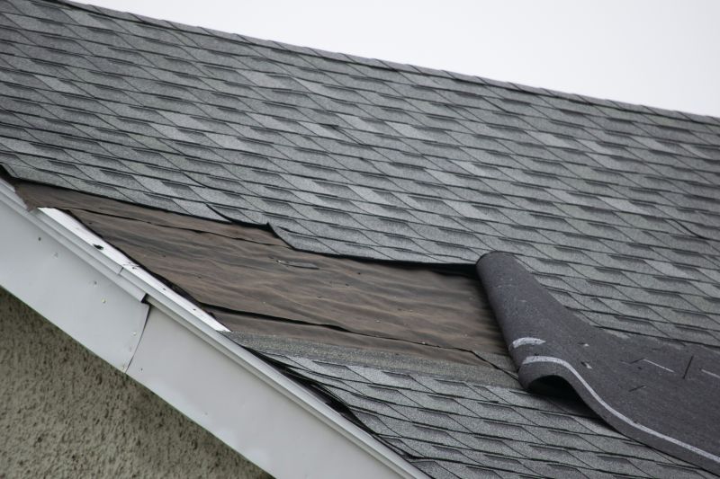 Asphalt Shingles Repair in Jersey City, NJ