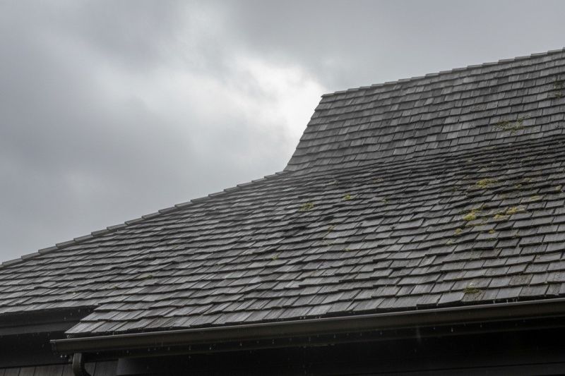 Cedar Roof Replacement in Holmdel, NJ