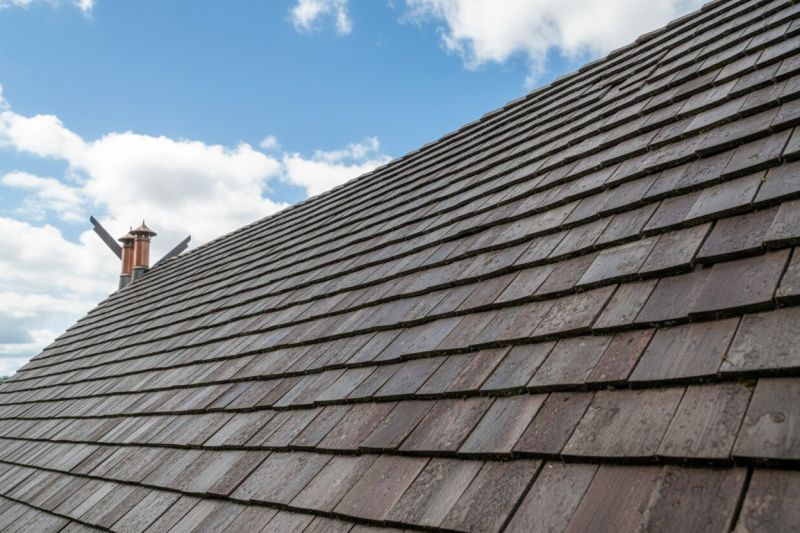 Cedar Shingles Replacement in East Orange, NJ