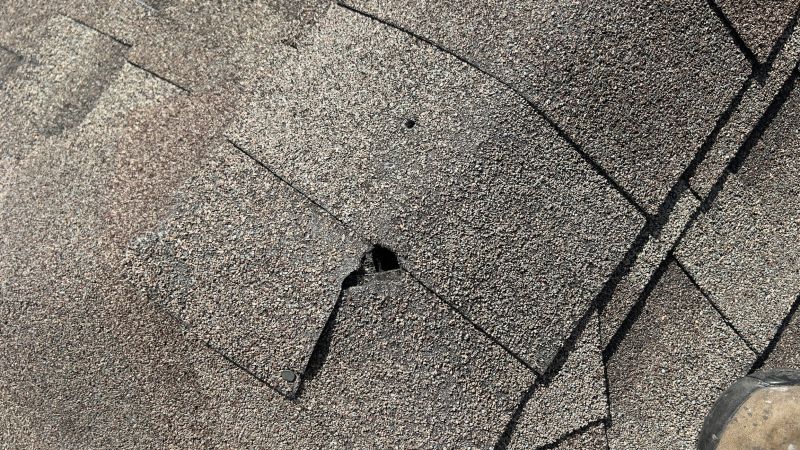 Damaged Roof Repair in Englishtown, NJ