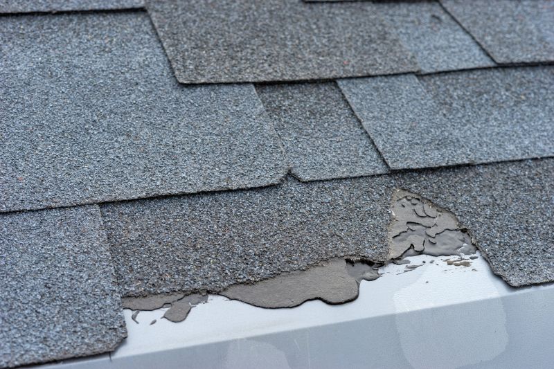 Damaged Roof Repair in Hopewell, NJ