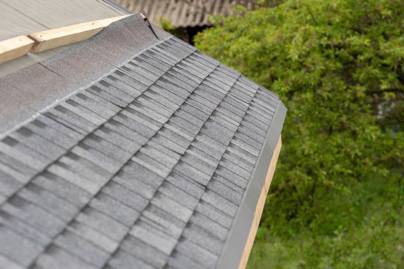 Damaged Roof Repair in Plainfield, NJ