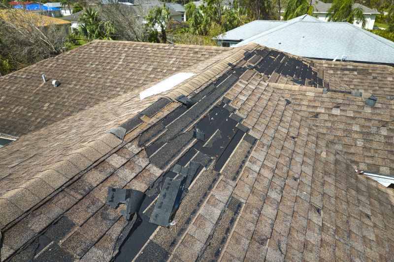 Damaged Roof Replacement in Colonia, NJ