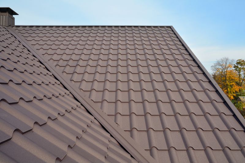Metal Roof Installation in Green Village, NJ