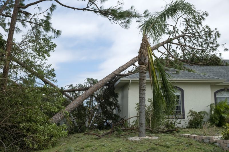 Storm Damage Roof Repair in Irvington, NJ
