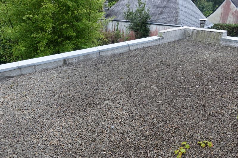 Tar And Gravel Roof Repair in Iselin, NJ