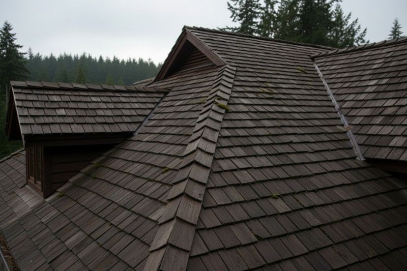 Wood Shake Roof Replacement in Elizabeth, NJ